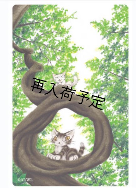 画像1: クリアしおり　こずえ (1)