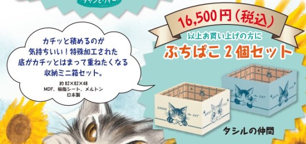 画像1: 15,000円(税抜)ご購入分で ぷちばこ2個セット (1)